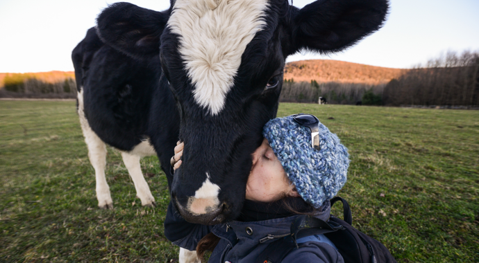 Make a Tribute Gift to We Animals