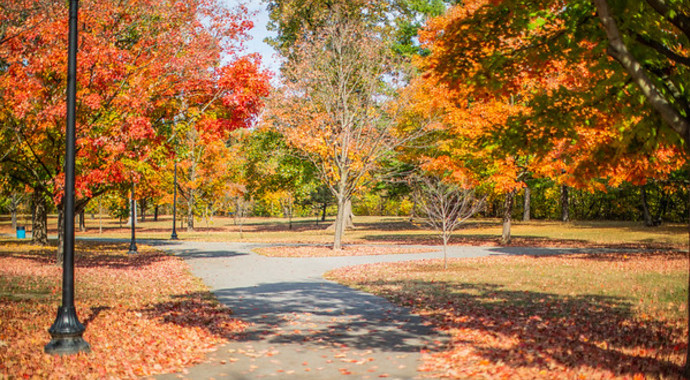 Memorial Gift to Garfield
