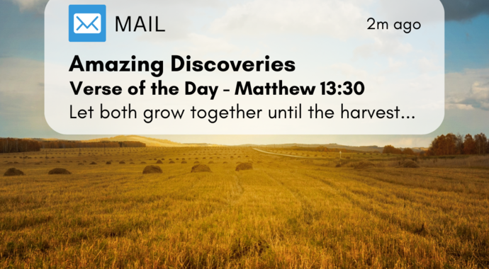 Daily Bible Verse Project