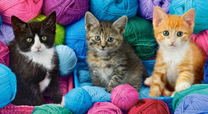 PAWSitvely Crafty Fall Festival