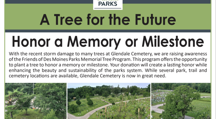Glendale Cemetery Tree Donation