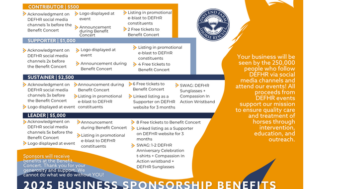 Business Sponsor - 2025 Benefit Concert