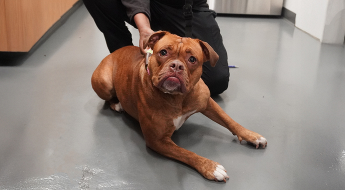 Make Second Chances Possible