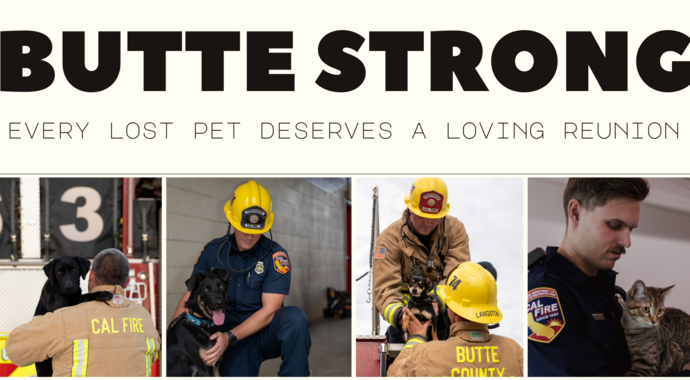 Community Microchip Fund