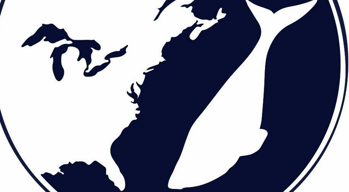 Whale Week 2024