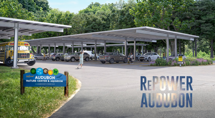 RePower Audubon