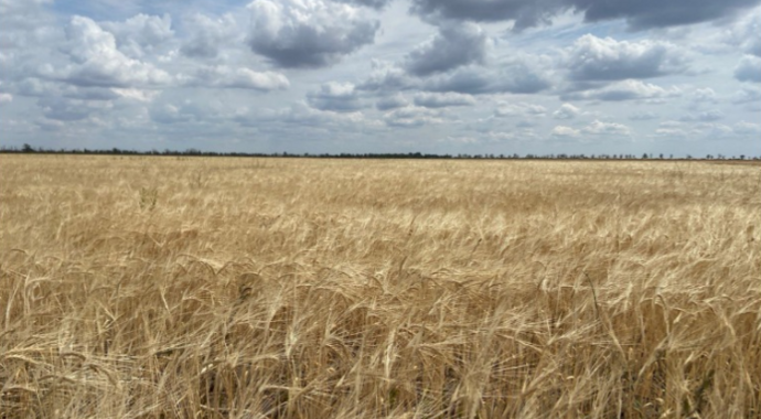 Explosive Ordnance Disposal