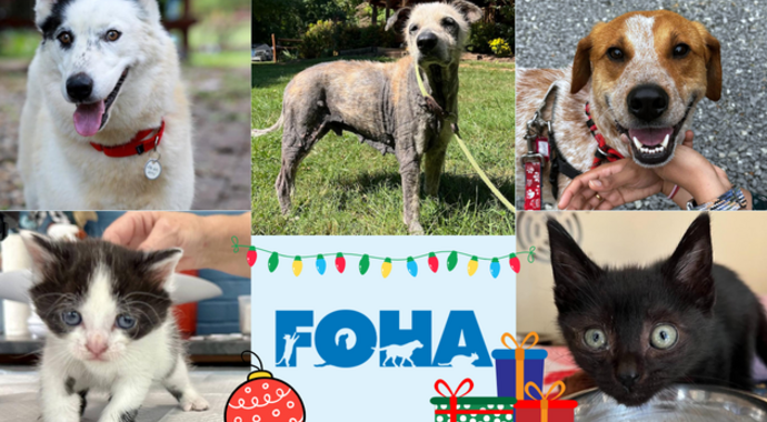 2024 Holiday Appeal - Main