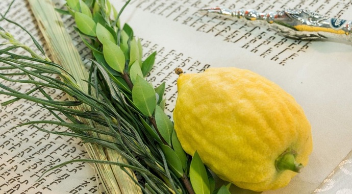 Hoshana Rabbah