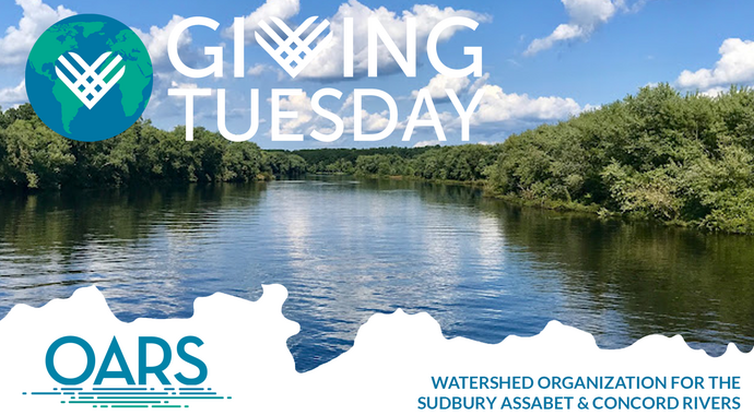 2024 Giving Tuesday