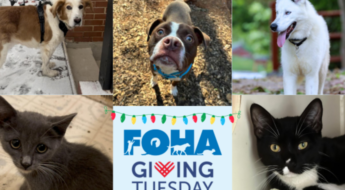 2024 Giving Tuesday