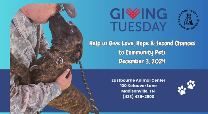 Giving Tuesday