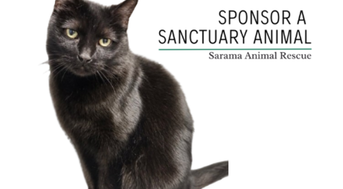Sponsor A Sanctuary Cat