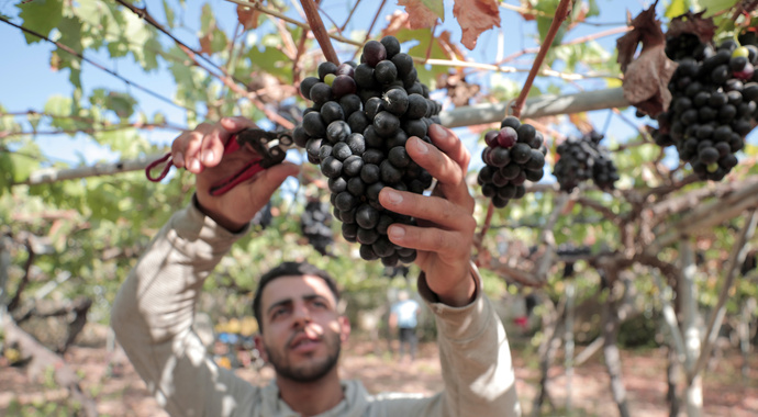 Support the journalism of The Electronic Intifada