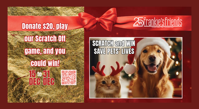 Scratch and Win- Save Pets' Lives