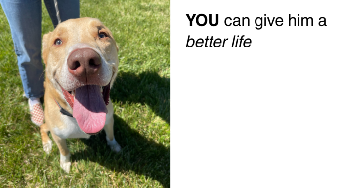 Urgent Care Fundraiser