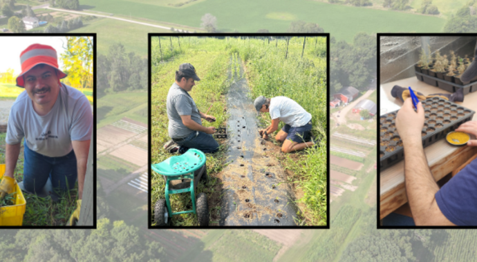 HARVEST PARTNER SPONSOR