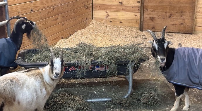 Twenty-five new friends