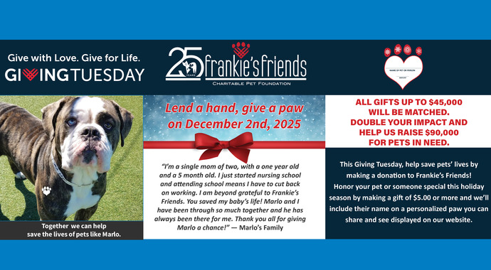 Giving Tuesday 2025