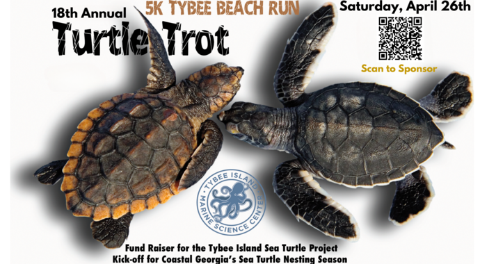 18th Annual Turtle Trot 5K Beach Run Sponsorship