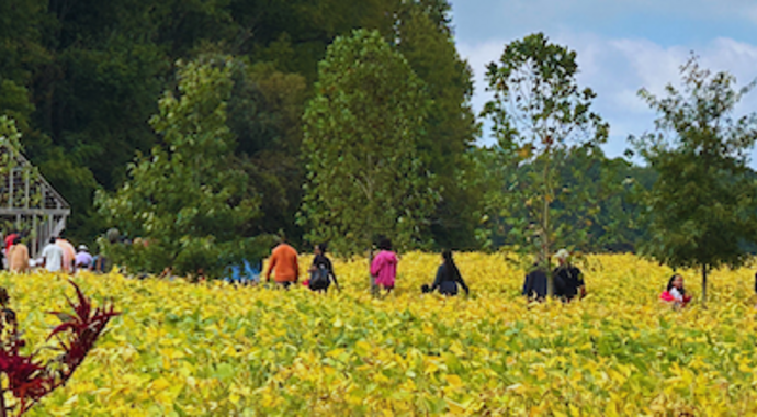 Menokin Descendant Documentary