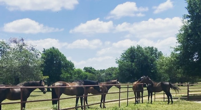 Self-Care Saturday fees