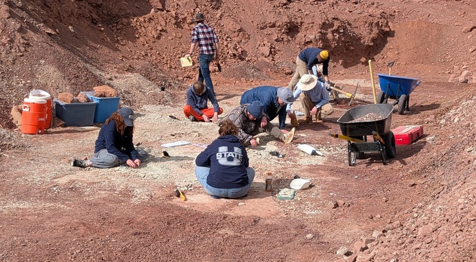 St. George Fossil Excavations 2025