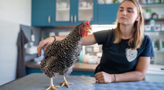 Mobius Monthly Giving Match 2025