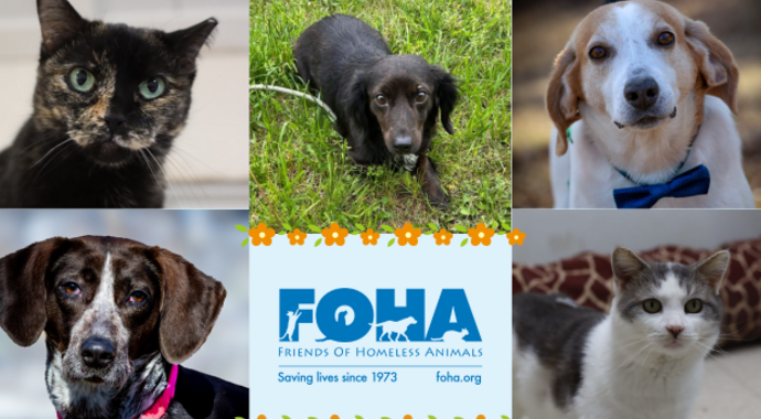 2025 Spring Appeal - Main