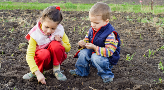 Planting Seeds of Hope for Families