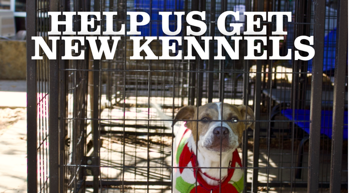 Pet Support Fund