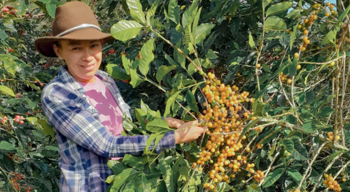 Enhancing Climate Resilience on Coffee Farms