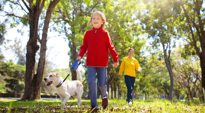 AAM 2025 - Online - Email