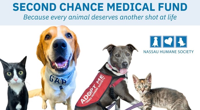 Second Chance Medical Fund