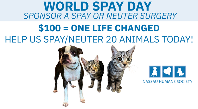 Second Chance Medical Fund