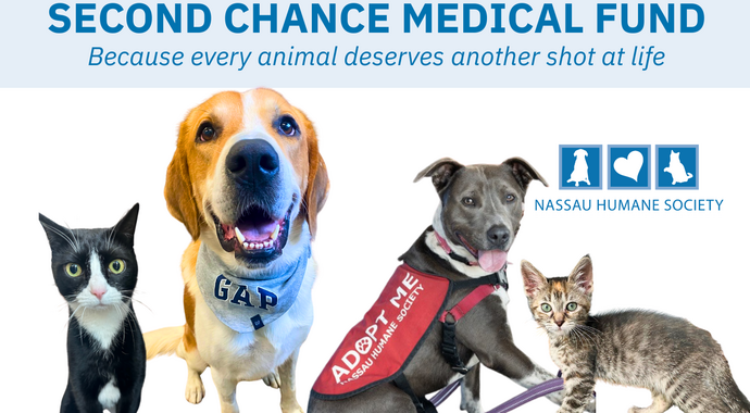 Second Chance Medical Fund