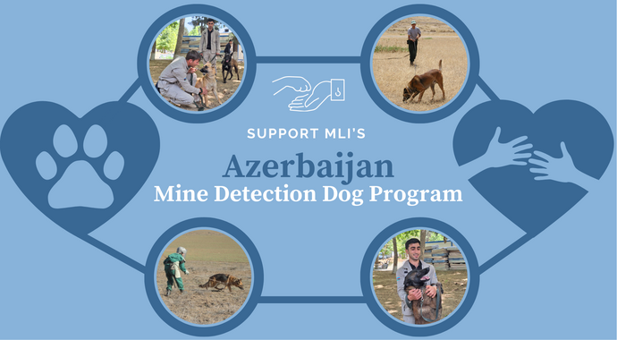 Azerbaijan Mine Detection Dog Partnership Program