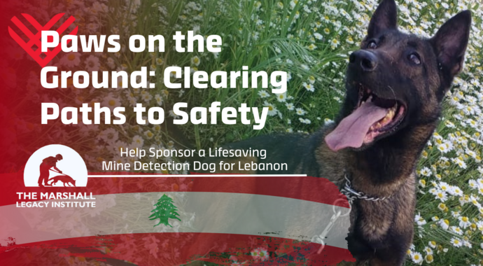 Giving Tuesday: Mine Detection Dog for Lebanon