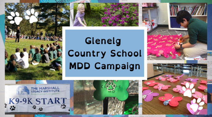 CHAMPS Glenelg MDD Campaign 2024