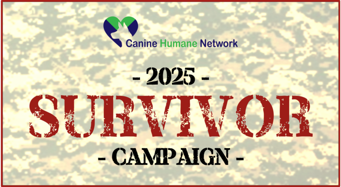 2025 SURVIVOR Campaign