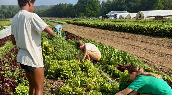 Real Food CT 2025/26 Annual Fund