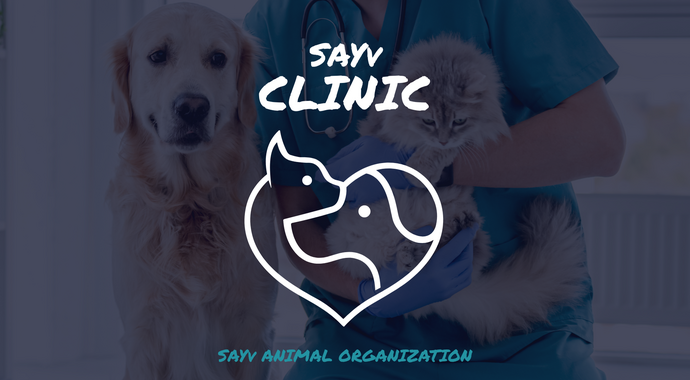 SAYv Clinic