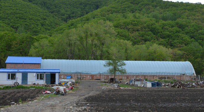 North Korea