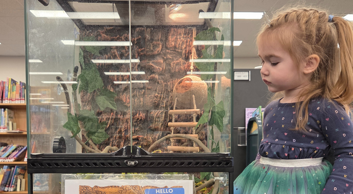 Support Bucks County Free Library!