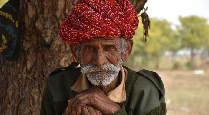 Little Drops Giving Tree 2025