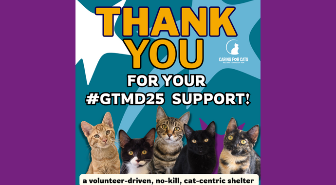 2025 Give to the Max