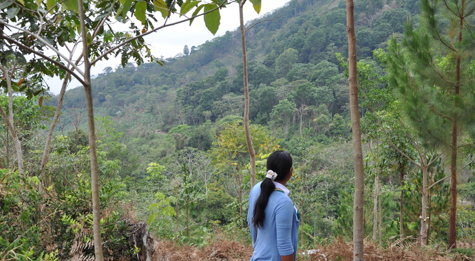 Scholarships for the Master's in Agroecology at ECOSUR, México