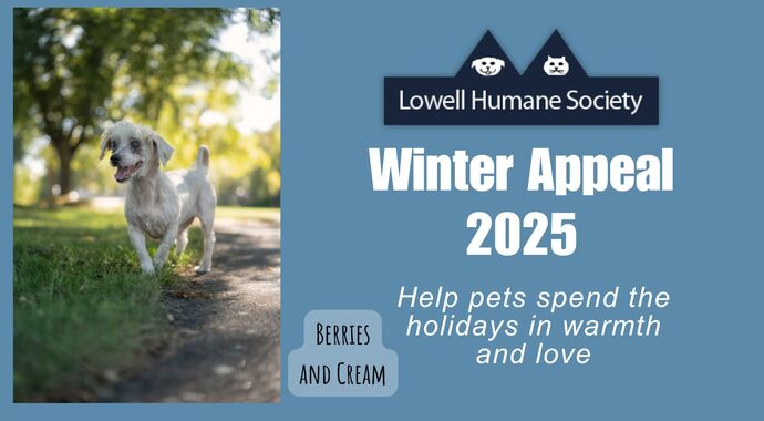 The Winter Appeal 2025