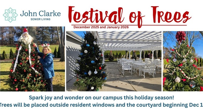 The 2025 Festival of Trees