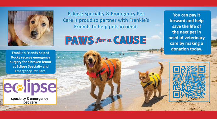 Eclipse supports Frankie's Friends